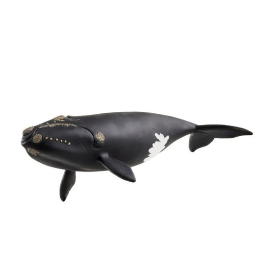 Figura Ballena Franca Glacial – Schleich 🐋
Edad recomendada: 3 a 8 años
Dimensiones: 19,5 x 9,7 x 4,5 cm
Incluye: 1 figura