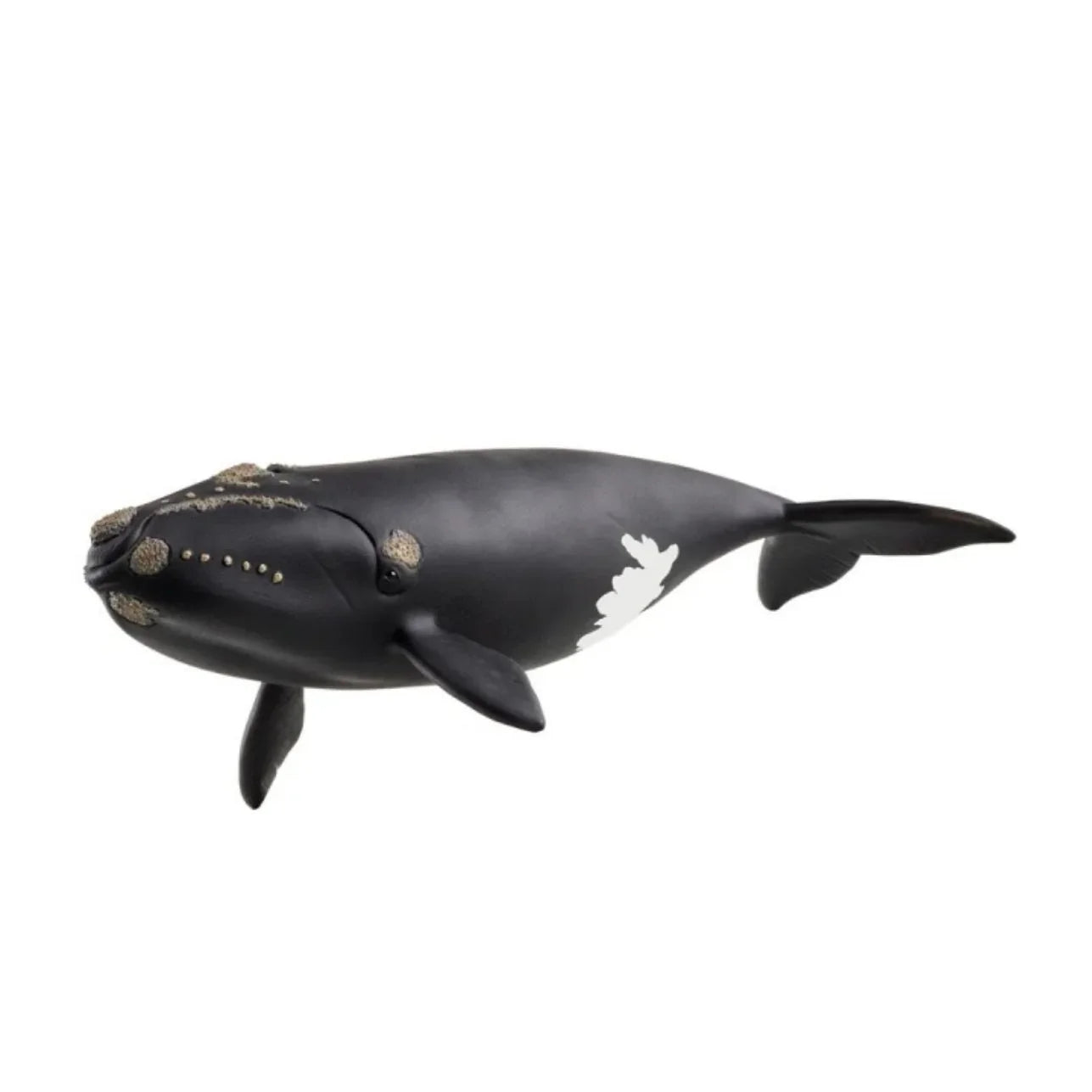 Figura Ballena Franca Glacial – Schleich 🐋
Edad recomendada: 3 a 8 años
Dimensiones: 19,5 x 9,7 x 4,5 cm
Incluye: 1 figura