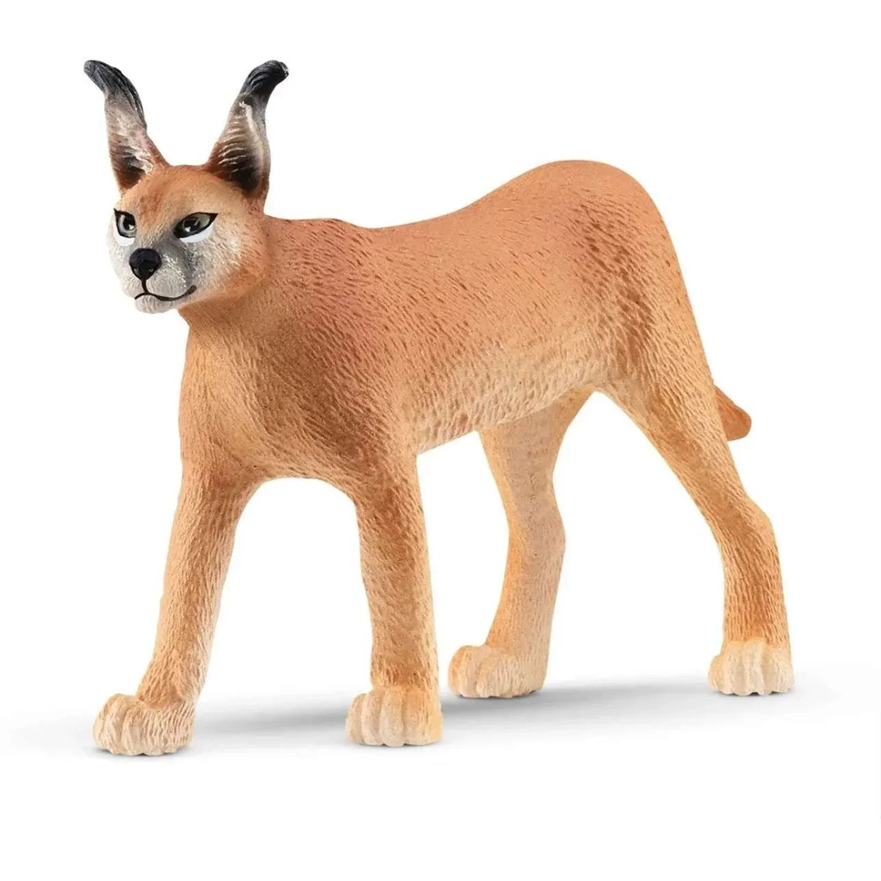 Figura Caracal Hembra – Schleich 🐾
Edad recomendada: 3 a 8 años
Dimensiones: 11 x 2,5 x 6 cm
Incluye: 1 figura