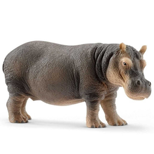 Figura Hipopótamo – Schleich 🦛
Edad recomendada: 3 a 8 años
Dimensiones: 12,8 x 4,7 x 6 cm
Incluye: 1 figura