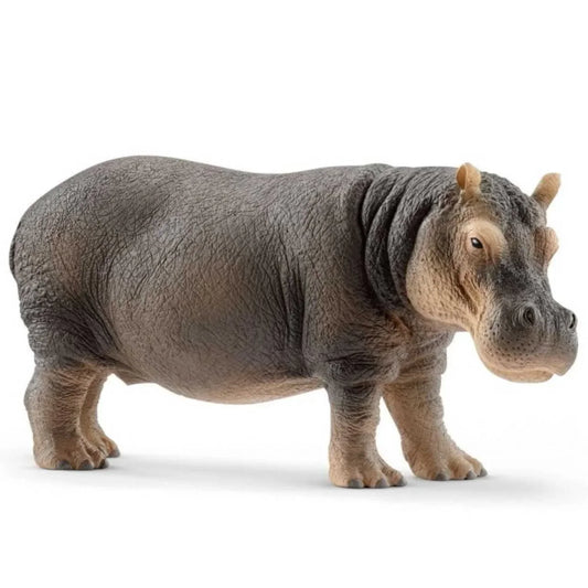 Figura Hipopótamo – Schleich 🦛
Edad recomendada: 3 a 8 años
Dimensiones: 12,8 x 4,7 x 6 cm
Incluye: 1 figura