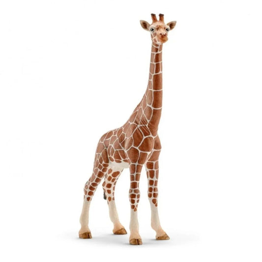 Figura Jirafa Hembra – Schleich 🦒
Edad recomendada: 3 a 8 años
Dimensiones: 9 x 4,2 x 17,2 cm
Incluye: 1 figura