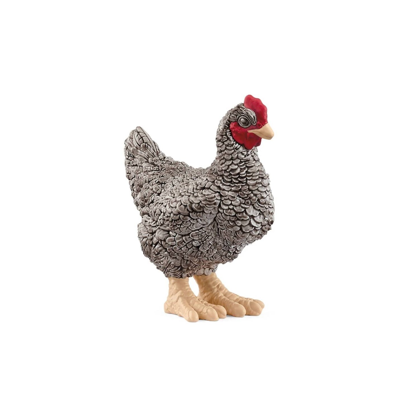 Compra la figura de Gallina Plymouth Rock de Schleich®, realista y detallada. Ideal para niños de 3 a 8 años. ¡Fomenta el juego creativo en la granja hoy!
Plymouth Rock Chicken Edad recomendada 3-8 Dimensiones 5,7 x 2,7 x 6 cm Descripción La bonita gallina Plymouth Rock camina por la granja muy ocupada. Está buscando comida. A lo mejor se le ha caído al granjero una crujiente hoja de lechuga. Como es tan cariñosa, sus humanos favoritos le dan de vez en cuando algo rico y a cambio ella les deja que la acari