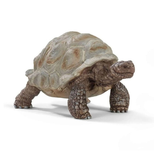 Figura animales Schleich Tortuga gigante (14824)