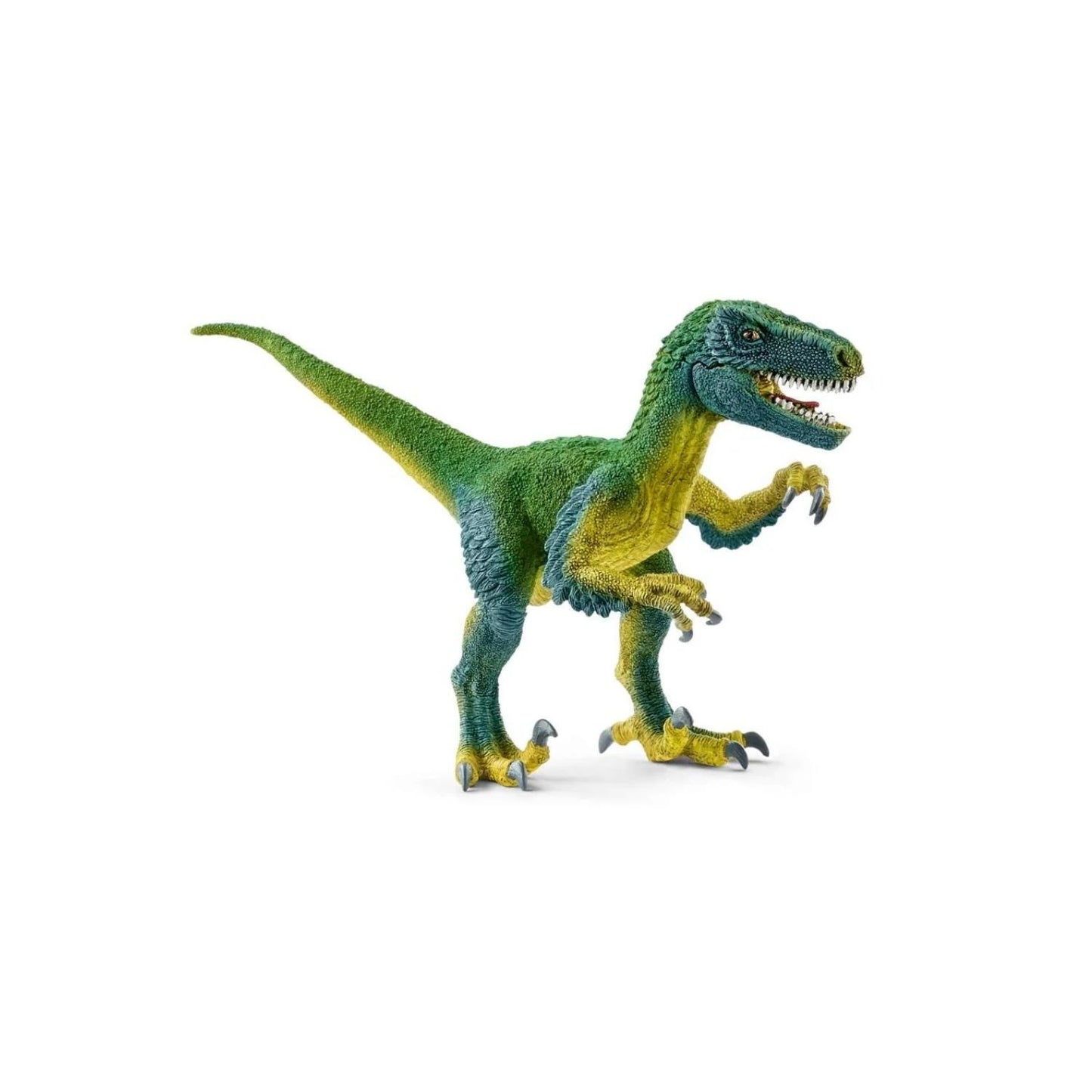 Compra la figura de Velociráptor de Schleich®, el dinosaurio más rápido y astuto para niños de 4 a 12 años. ¡Calidad premium y realismo garantizado!
Velociráptor Edad recomendada 4-12 Dimensiones 18 x 6,3 x 10,3cm Descripción Los velociraptores eran probablemente dinosaurios muy inteligentes que cazaban en manada. Aunque sólo midieran 60 cm de alto, estos carnívoros podían reducir presas más grandes sin dificultad. Alcanzaban velocidades de hasta 65 quilómetros por hora y eran capaces de efectuar rápidos g