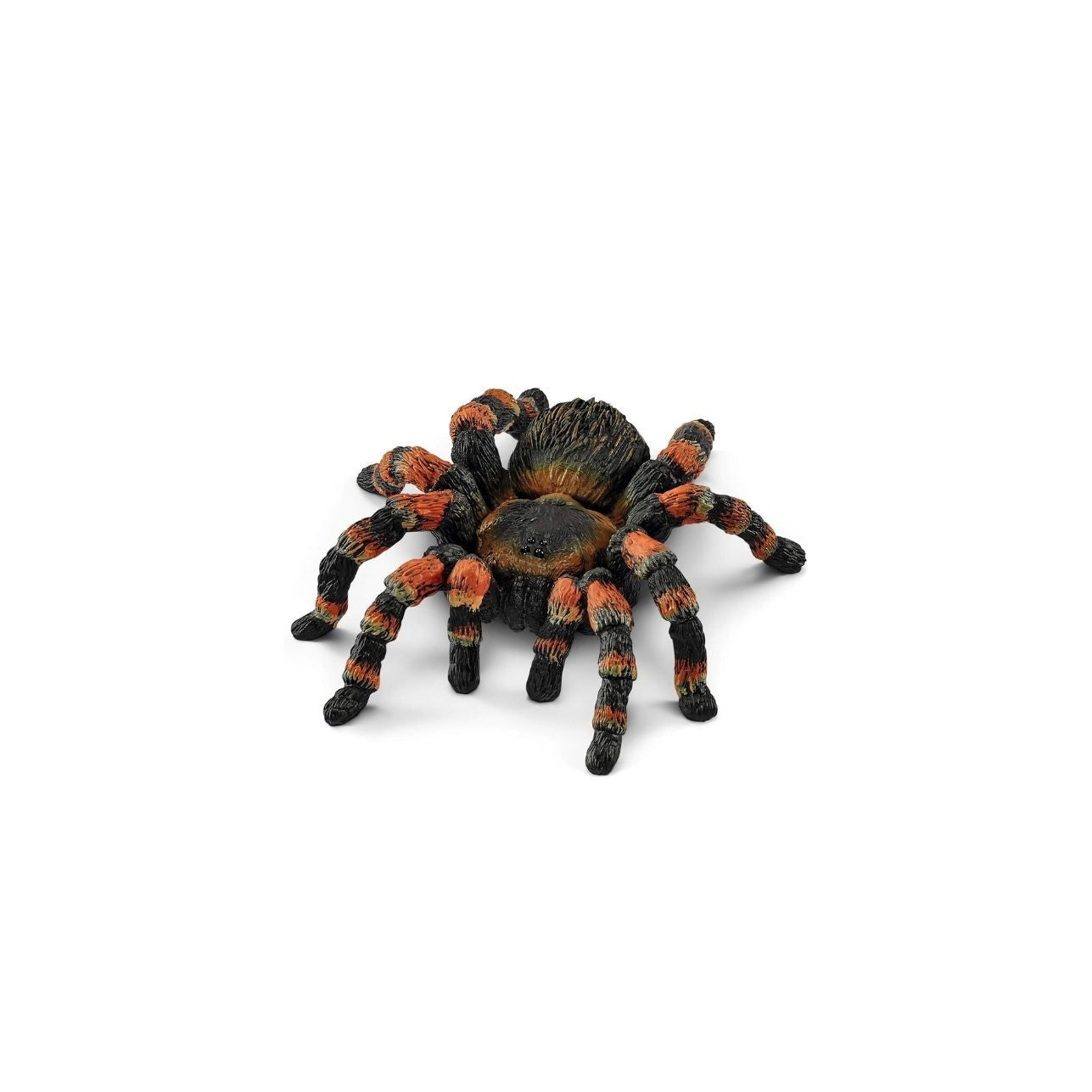 Figura Tarántula – Schleich® WILD LIFE 🕷️
Edad recomendada: 3 a 8 años
Dimensiones: 8,0 x 7,0 x 2,0 cm
Incluye: 1 figura