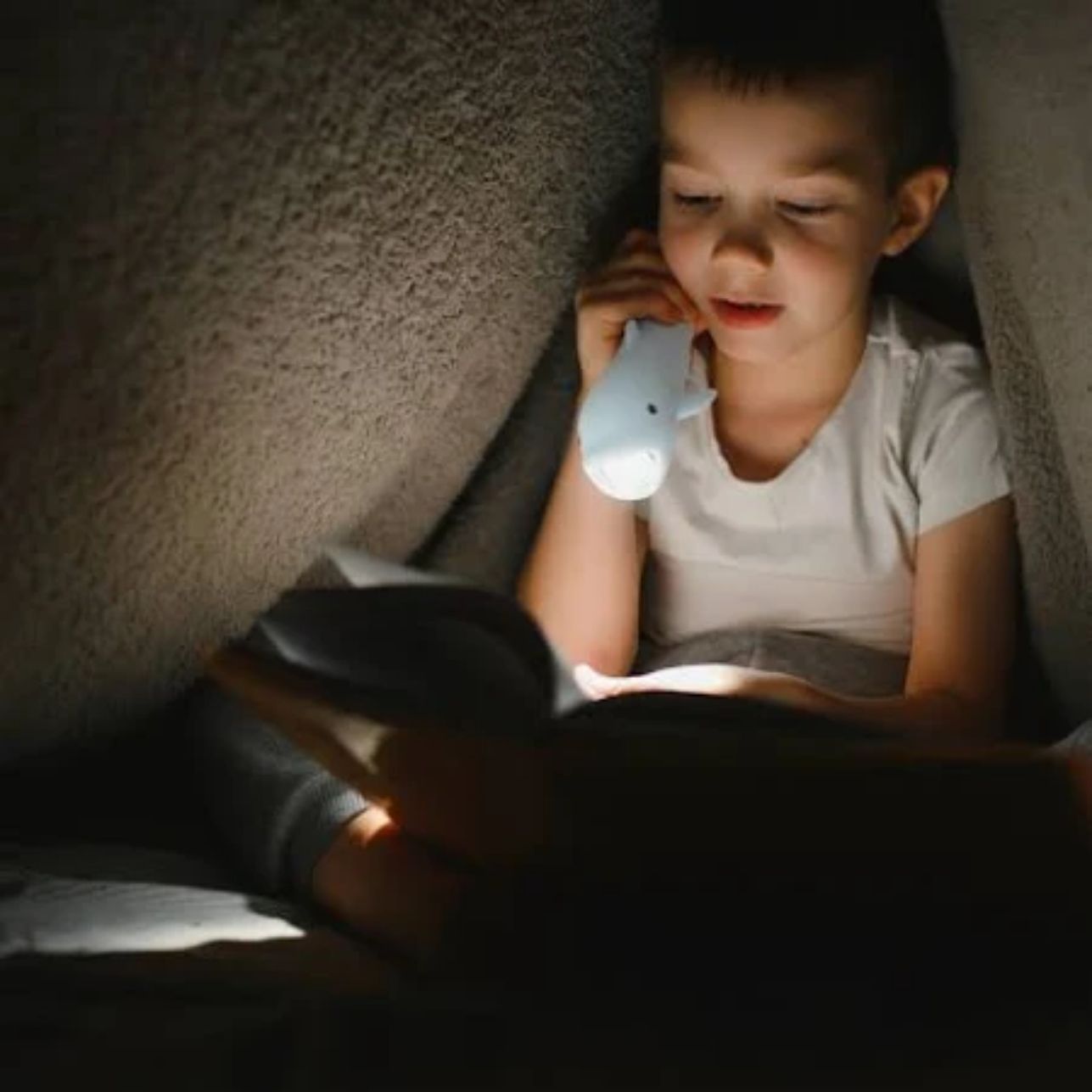 Linterna Little L DELFÍN – Luz suave y compañera de aventuras 🌟
Edad recomendada: A partir de 3 años
Incluye: 1 linterna recargable con correa
Medidas aproximadas: Adaptada a manos pequeñas
Alimentación: Recargable vía USB-C (cable incluido)