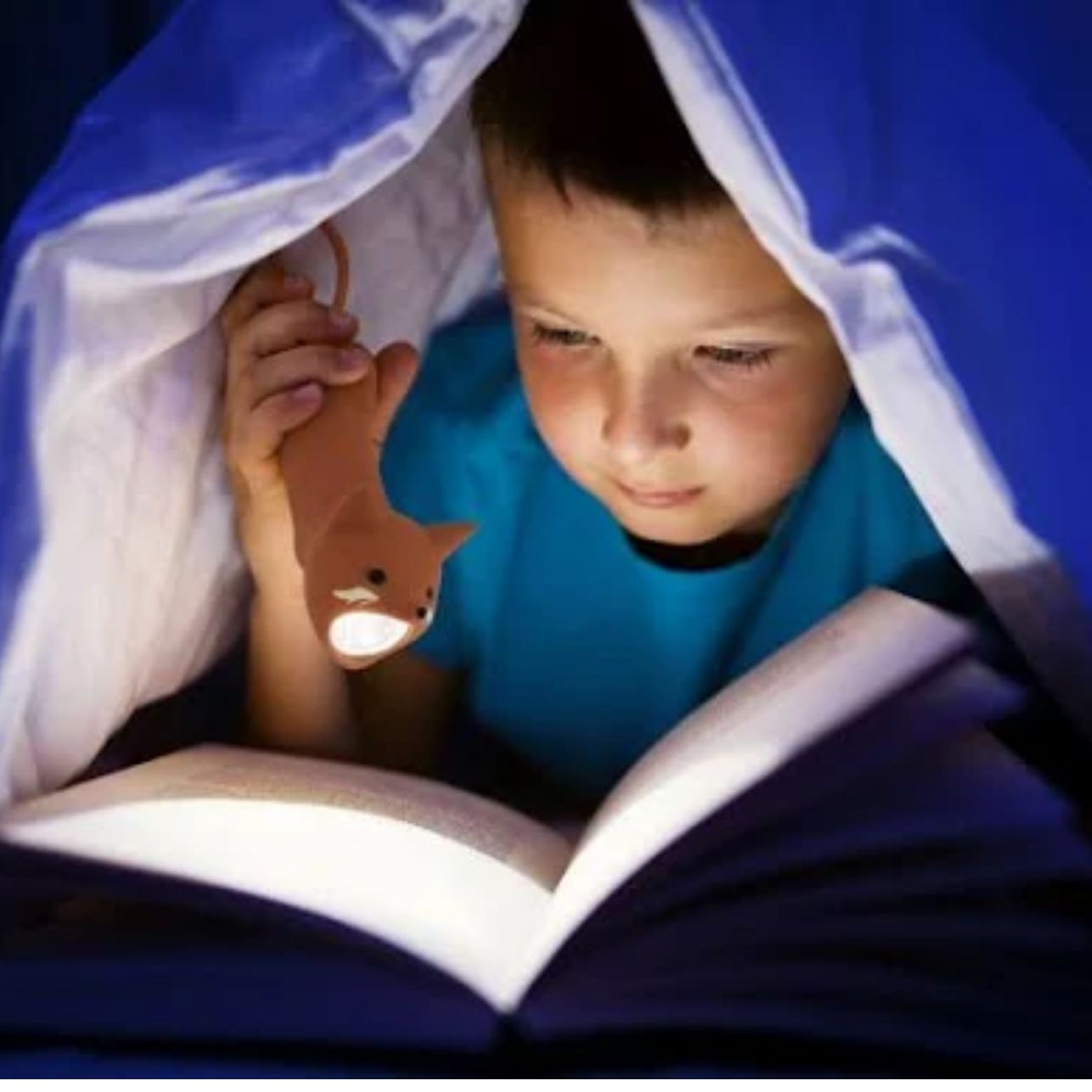 Linterna Little L ZORRO – Luz suave y compañera de aventuras 🌟
Edad recomendada: A partir de 3 años
Incluye: 1 linterna recargable con correa
Medidas aproximadas: Adaptada a manos pequeñas
Alimentación: Recargable vía USB-C (cable incluido)