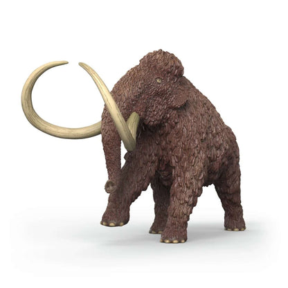 Compra la figura de Mamut de Schleich®, el gigante lanudo más realista para niños de 4 a 12 años. ¡Calidad premium para tus aventuras en la Edad de Hielo!

mamut Edad recomendada 4-12 Dimensiones 21,7 x 12,4 x 8,8cm Descripción El gigante mamut puede dar un poco de miedo con su espectacular tamaño y sus largos colmillos, pero no te preocupes, porque suele ser pacífico. Este gigante prehistórico prefiere utilizar su larga trompa para arrancar cómodamente hojas de los árboles y mordisquear ramitas. Si no te i