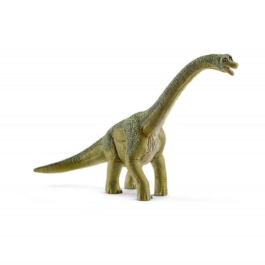 Compra la figura de Braquiosaurio de Schleich®, el dinosaurio de cuello largo más realista para niños de 4 a 12 años. ¡Fomenta el juego educativo con calidad premium!

Braquiosaurio Edad recomendada 4-12 Dimensiones 29 x 14,5 x 18,5 cm Descripción Traducida, la palabra Braquiosaurio significa algo así como lagarto con brazos. Se le puso ese nombre porque sus patas delanteras eran claramente más largas que sus patas traseras. Por ello, su largo cuello señalaba automáticamente hacia arriba y podía comer con f