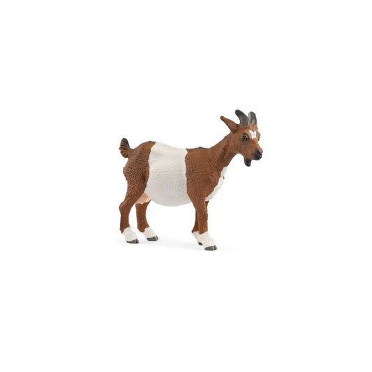 Figura Cabra doméstica – Schleich® 🐐
Edad recomendada: 3 a 8 años
Dimensiones: 8,2 x 2,5 x 6,5 cm
Incluye: 1 figura