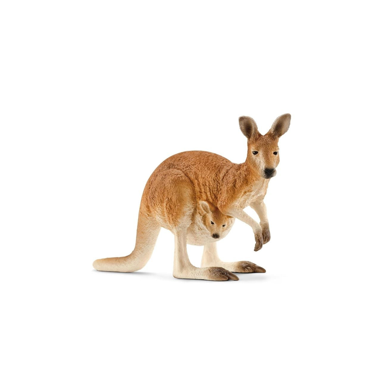 Figura Canguro – Schleich® WILD LIFE 🦘
Edad recomendada: 3 a 8 años
Dimensiones: 11,4 x 3,5 x 6,5 cm
Incluye: 1 figura