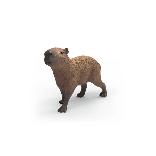 Consigue la figura de Capibara 14934 de Schleich®, el roedor más famoso y realista para niños de 3 a 8 años. ¡Fomenta el juego creativo con calidad premium!

Figura animales Schleich Capibara (14934) Edad recomendada 3-8 Dimensiones 6,9 x 2,6 x 5,2cm Piezas 1 Descripción FIGURAS INSPIRADORAS PARA JUGAR CON IMAGINACIÓN Y LIBREMENTE. TAN AUTÉNTICO, TAN DETALLADO, QUE HASTA LA MADRE NATURALEZA LO APRUEBA. FABRICACIÓN DE ALTA CALIDAD QUE RESISTE EL PASO DEL TIEMPO.
