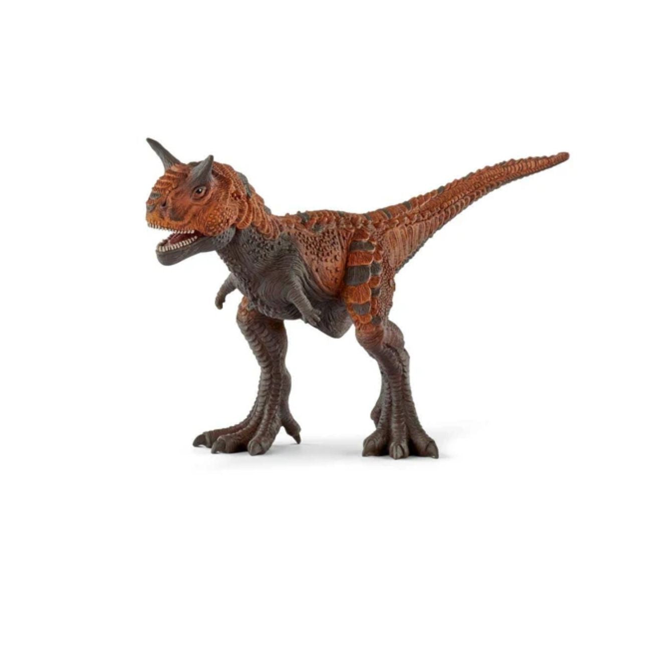 Figura Carnotaurus – Schleich® 🦖
Edad recomendada: 4 a 12 años
Dimensiones: 22,1 x 9,1 x 13 cm
Incluye: 1 figura