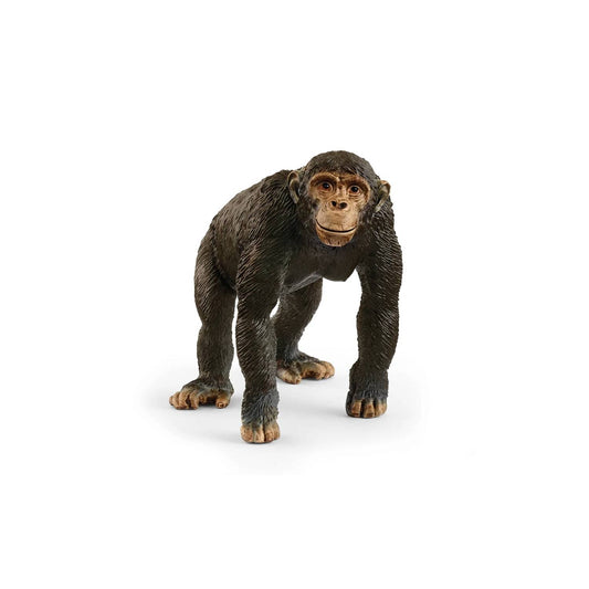 Compra la figura de Chimpancé de Schleich®, realista y detallada para niños de 3 a 8 años. ¡Fomenta el juego creativo y el amor por la naturaleza con calidad premium!

Chimpancé Edad recomendada 3-8 Dimensiones 4,7 x 6,5 x 8,3 cm Descripción El chimpancé está tranquilo en la selva observando a su gran familia. Siempre hay alguien que quiere jugar un poco o que trepa con mucha habilidad por alguno de los árboles gigantes de la selva. El chimpancé está feliz. Ve cómo su pequeño intenta dar sus primeros pasos.