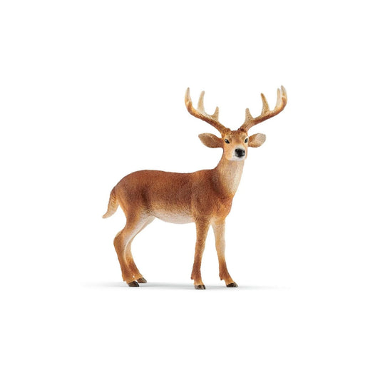 Compra la figura de Ciervo de cola blanca macho de Schleich®, realista y educativa. Para niños de 3 a 8 años. ¡Fomenta el juego creativo con la mejor calidad!

Ciervo de cola blanca macho Edad recomendada 3-8 Dimensiones 10,50 x 4,50 x 10,40 cm Descripción Los machos de ciervo de cola blanca son animales muy tímidos. Cuando se asustan, agitan la cola hacia delante y hacia atrás. Si realmente hay un depredador cerca, los ciervos levantan las colas. El pelaje blanco que les da el nombre se hace claramente vis