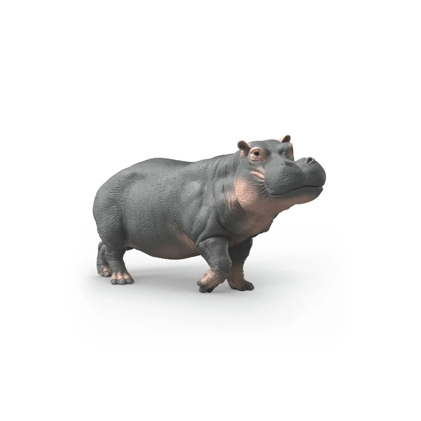 Figura de hipopótamo Schleich® para niños de 3 a 8 años. Réplica realista del gigante gris africano ideal para el juego diario. Dimensiones 12,5 x 4,22 x 5,82 cm.