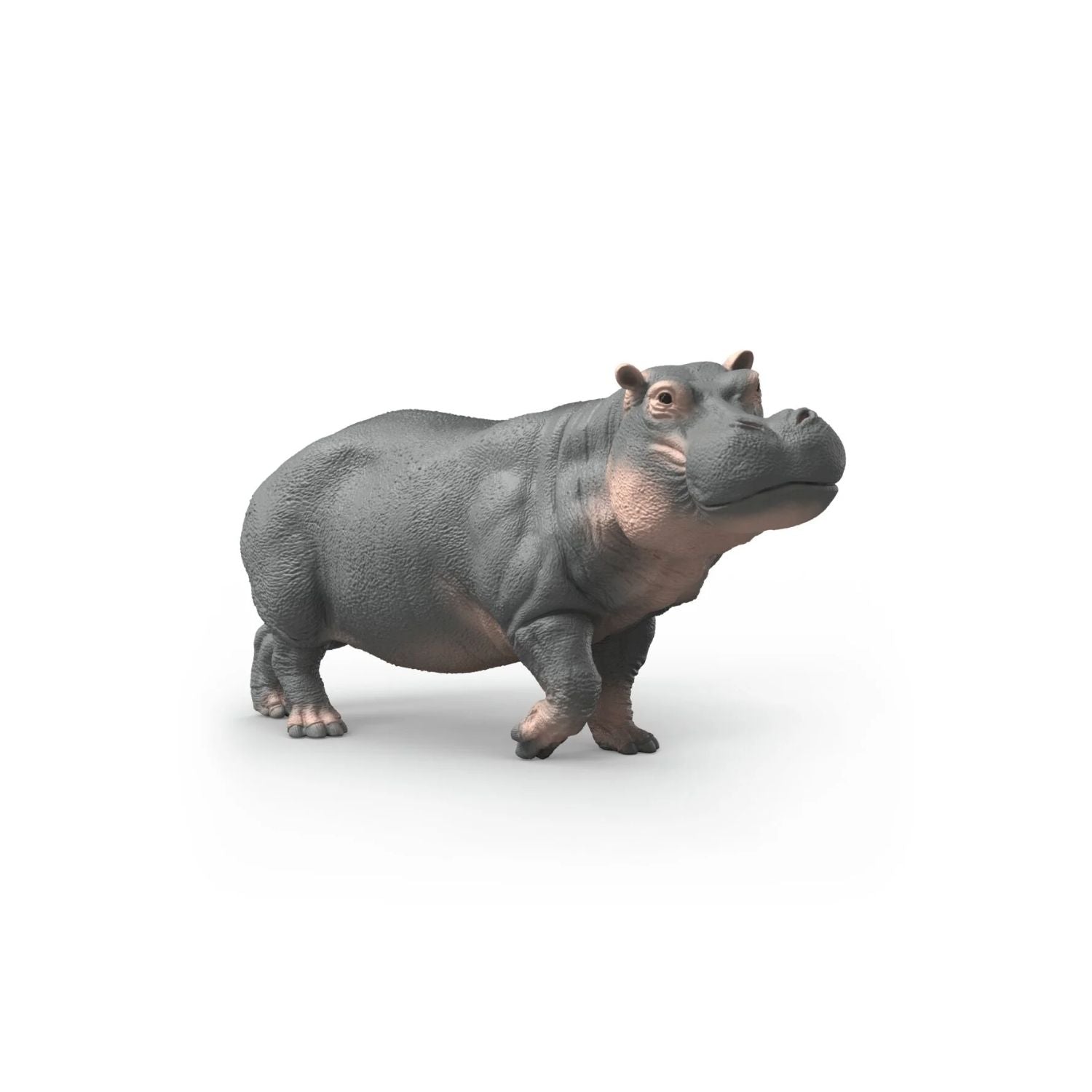 Figura de hipopótamo Schleich® para niños de 3 a 8 años. Réplica realista del gigante gris africano ideal para el juego diario. Dimensiones 12,5 x 4,22 x 5,82 cm.