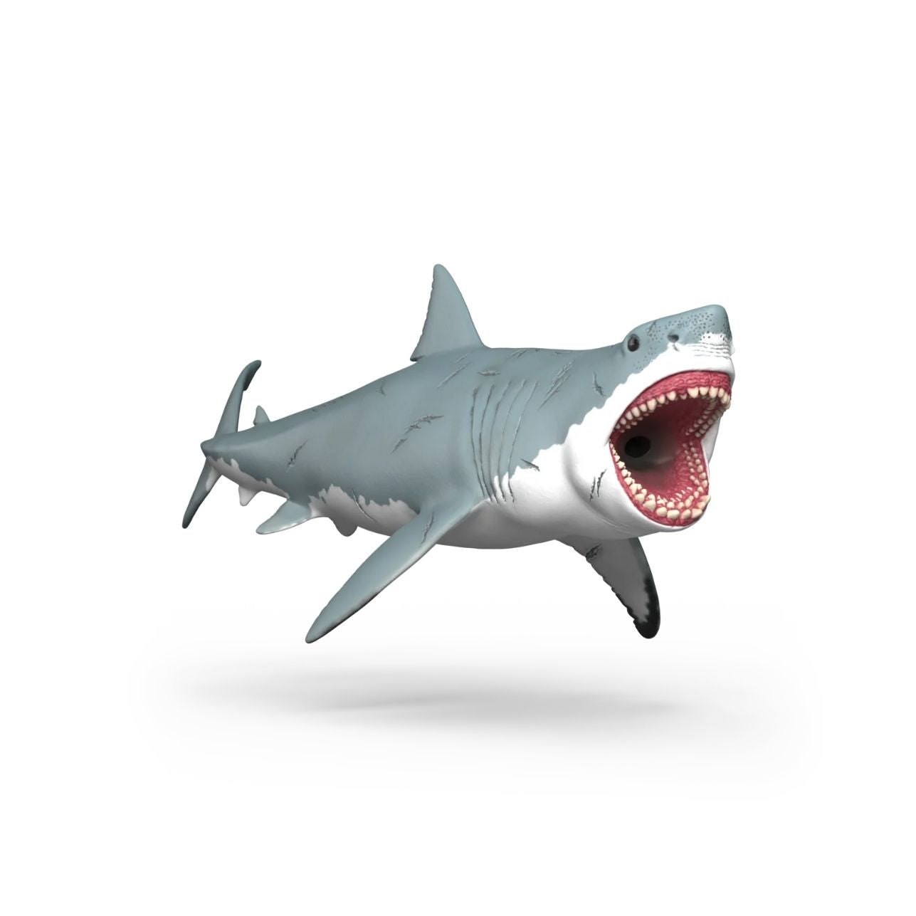 Figura Megalodón – Schleich® 🦈
Edad recomendada: 4 a 12 años
Dimensiones: 29 x 11,5 x 11 cm
Incluye: 1 figura