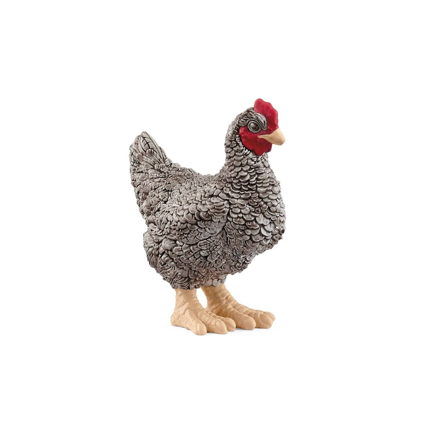 Compra la figura de Gallina Plymouth Rock de Schleich®, realista y detallada. Ideal para niños de 3 a 8 años. ¡Fomenta el juego creativo en la granja hoy!

Plymouth Rock Chicken Edad recomendada 3-8 Dimensiones 5,7 x 2,7 x 6 cm Descripción La bonita gallina Plymouth Rock camina por la granja muy ocupada. Está buscando comida. A lo mejor se le ha caído al granjero una crujiente hoja de lechuga. Como es tan cariñosa, sus humanos favoritos le dan de vez en cuando algo rico y a cambio ella les deja que la acari