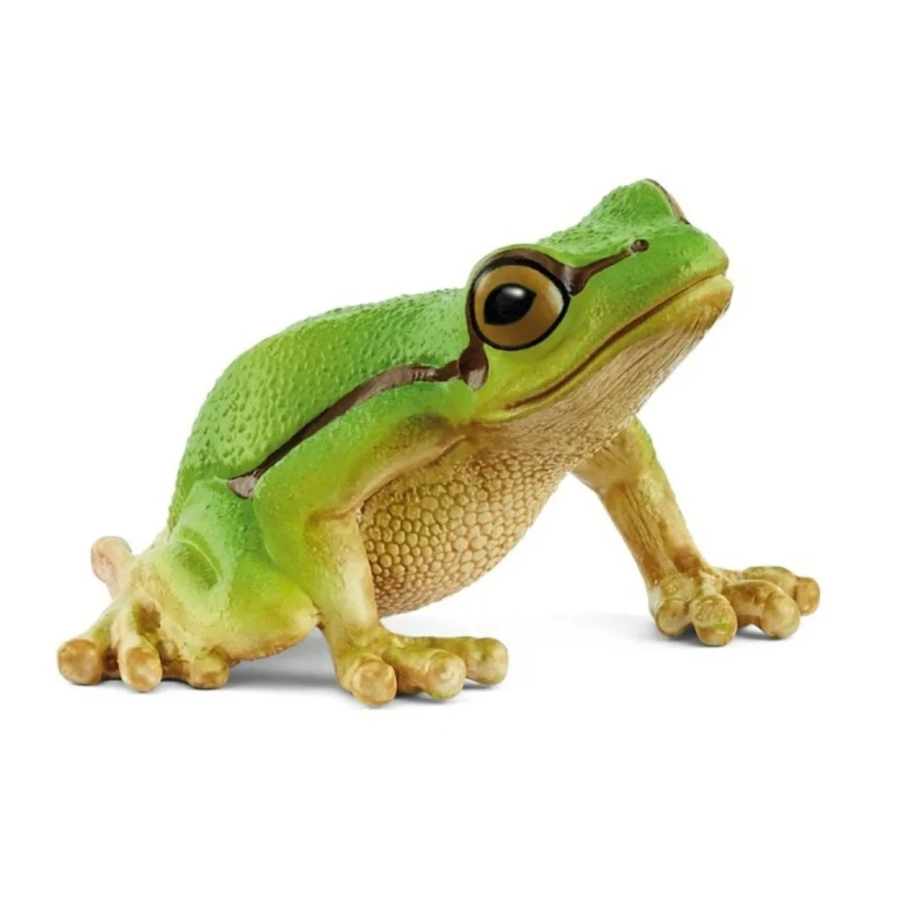 Figura Rana Arborícola Europea – Schleich 🐸
Edad recomendada: 3 a 8 años
Dimensiones: 5,2 x 4,5 x 3 cm
Incluye: 1 figura
