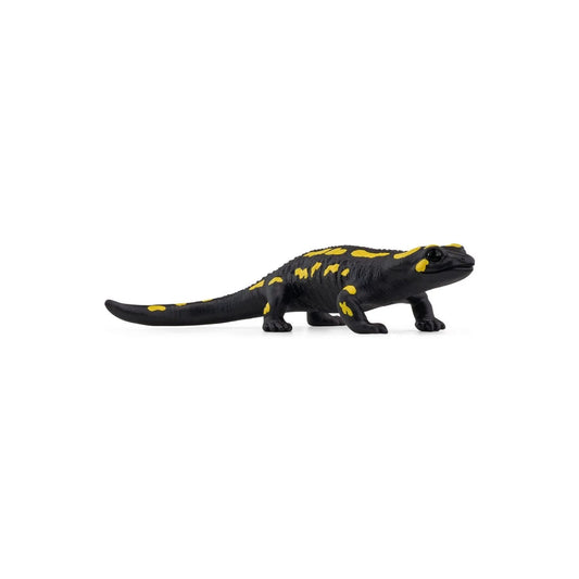 Compra la figura de Salamandra de Schleich®, el anfibio más realista y colorido para niños de 3 a 8 años. ¡Fomenta el juego creativo y educativo con calidad premium!

Salamandra Edad recomendada 3-8 Dimensiones 9,8 x 6,7 x 2,5 cm Descripción ¡Oh, una salamandra! Ver a este anfibio tan precioso en el bosque o junto a un arroyo es una gran suerte, porque sale casi siempre por la noche. Durante el día prefiere esconderse en un agujero en la tierra o en una cueva. Aunque tiene un color negro y amarillo muy llam