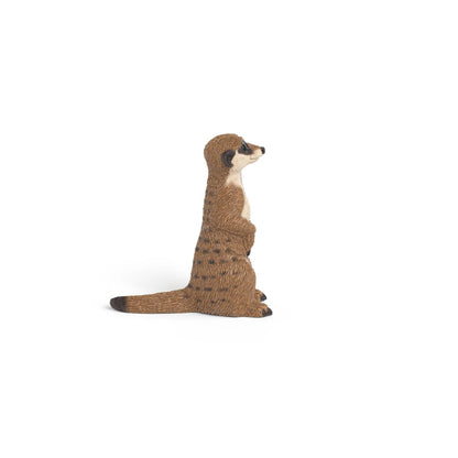 Compra la figura de Suricato de Schleich®, el vigilante realista para niños de 3 a 8 años. ¡Fomenta el juego educativo y creativo con calidad premium!

Suricato Edad recomendada 3-8 Dimensiones 4,1 x 1,8 x 4,3cm Descripción El suricato se queda quieto como una estatua y se mantiene alerta. Sólo su hocico puntiagudo se mueve de vez en cuando, olfateando. ¿Se ha movido algo en la hierba alta? Los otros miembros del clan buscan insectos mientras este suricato vigila. ¡Valiente! Cuando amenaza algún peligro, em