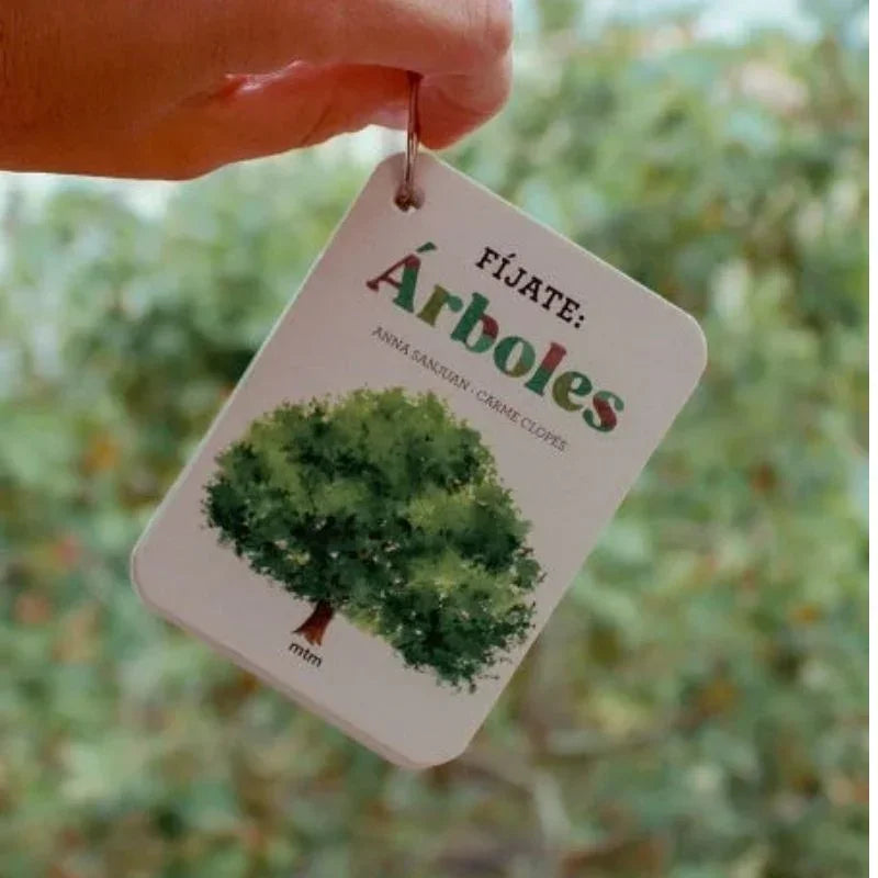 Esta guía está formada por 22 cartas resistentes y anilladas, con ilustraciones detalladas y textos sencillos, ideales para reconocer especies como el acebo, la haya, el eucalipto o la magnolia durante sus paseos y excursiones. Cada carta está diseñada para despertar la curiosidad, fomentar el respeto por la naturaleza y convertir cada salida en una aventura educativa.