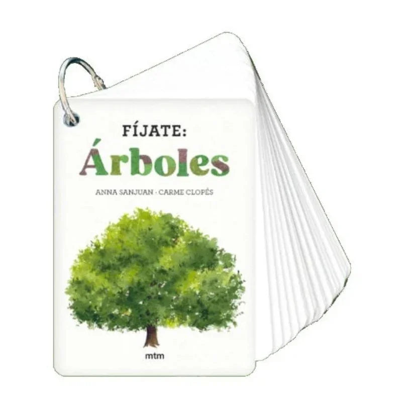 Esta guía está formada por 22 cartas resistentes y anilladas, con ilustraciones detalladas y textos sencillos, ideales para reconocer especies como el acebo, la haya, el eucalipto o la magnolia durante sus paseos y excursiones. Cada carta está diseñada para despertar la curiosidad, fomentar el respeto por la naturaleza y convertir cada salida en una aventura educativa.