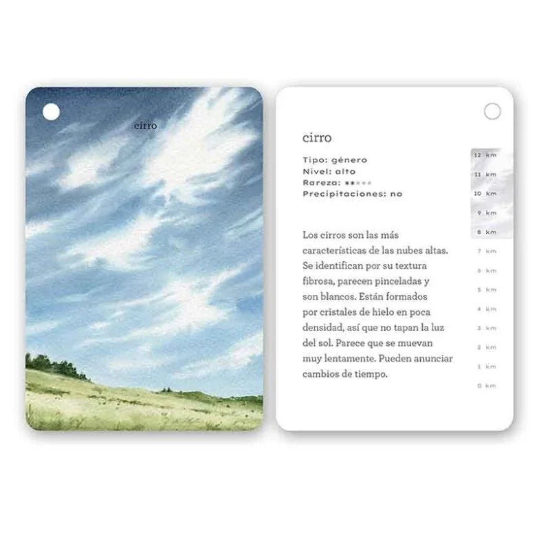 Fíjate Nubes es una guía visual práctica y encantadora que enseña a grandes y pequeños a identificar los distintos tipos de nubes de forma sencilla, gracias a sus ilustraciones en acuarela y explicaciones claras. Un recurso educativo ideal para despertar la curiosidad, fomentar la observación consciente y conectar con la naturaleza en familia.