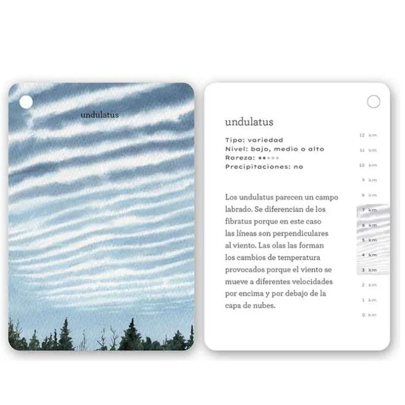 Fíjate Nubes es una guía visual práctica y encantadora que enseña a grandes y pequeños a identificar los distintos tipos de nubes de forma sencilla, gracias a sus ilustraciones en acuarela y explicaciones claras. Un recurso educativo ideal para despertar la curiosidad, fomentar la observación consciente y conectar con la naturaleza en familia.
