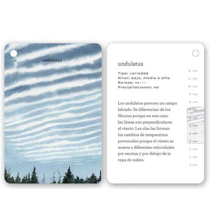 Fíjate Nubes es una guía visual práctica y encantadora que enseña a grandes y pequeños a identificar los distintos tipos de nubes de forma sencilla, gracias a sus ilustraciones en acuarela y explicaciones claras. Un recurso educativo ideal para despertar la curiosidad, fomentar la observación consciente y conectar con la naturaleza en familia.
