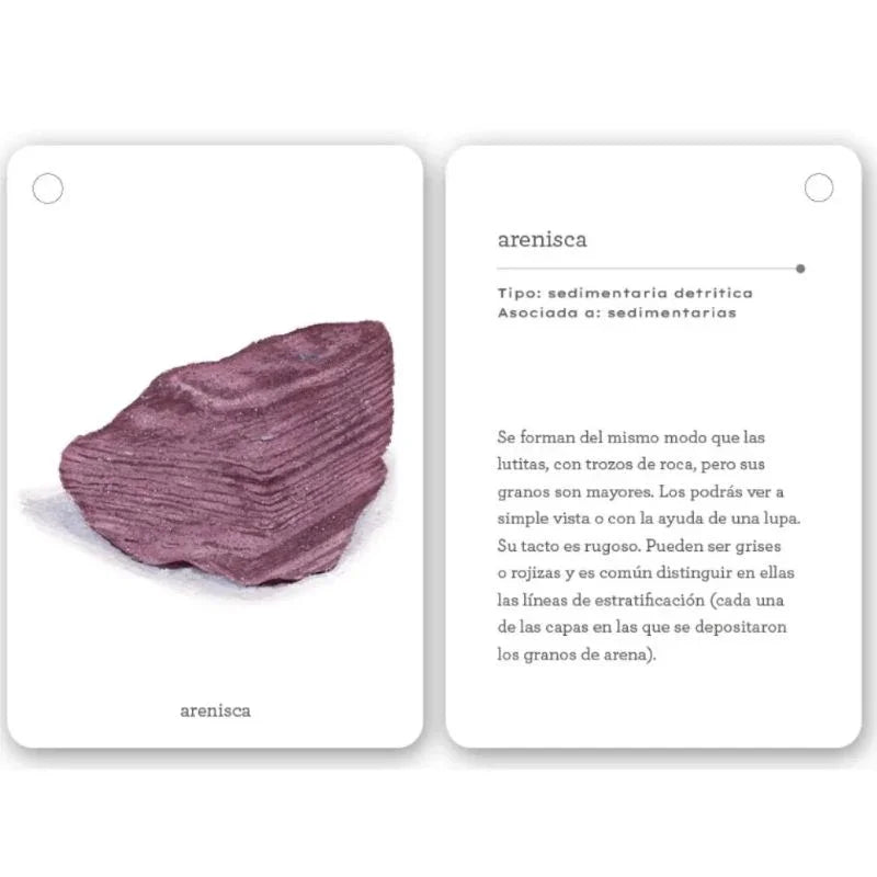 Fíjate: Rocas está compuesta por 22 cartas de alto gramaje (20 dedicadas a distintos tipos de rocas), con ilustraciones preciosas y datos fascinantes sobre su origen y características. Aprenderán a reconocer formaciones comunes como granito, esquisto o arenisca mientras desarrollan su capacidad de observación y amor por la naturaleza.
