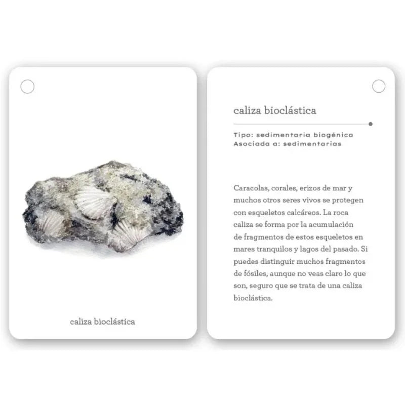 Fíjate: Rocas está compuesta por 22 cartas de alto gramaje (20 dedicadas a distintos tipos de rocas), con ilustraciones preciosas y datos fascinantes sobre su origen y características. Aprenderán a reconocer formaciones comunes como granito, esquisto o arenisca mientras desarrollan su capacidad de observación y amor por la naturaleza.