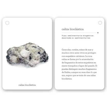 Fíjate: Rocas está compuesta por 22 cartas de alto gramaje (20 dedicadas a distintos tipos de rocas), con ilustraciones preciosas y datos fascinantes sobre su origen y características. Aprenderán a reconocer formaciones comunes como granito, esquisto o arenisca mientras desarrollan su capacidad de observación y amor por la naturaleza.