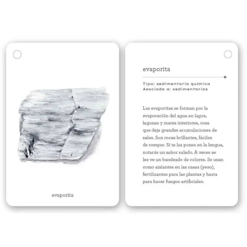 Fíjate: Rocas está compuesta por 22 cartas de alto gramaje (20 dedicadas a distintos tipos de rocas), con ilustraciones preciosas y datos fascinantes sobre su origen y características. Aprenderán a reconocer formaciones comunes como granito, esquisto o arenisca mientras desarrollan su capacidad de observación y amor por la naturaleza.