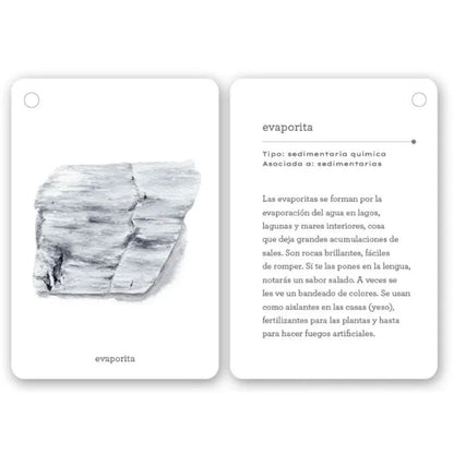 Fíjate: Rocas está compuesta por 22 cartas de alto gramaje (20 dedicadas a distintos tipos de rocas), con ilustraciones preciosas y datos fascinantes sobre su origen y características. Aprenderán a reconocer formaciones comunes como granito, esquisto o arenisca mientras desarrollan su capacidad de observación y amor por la naturaleza.