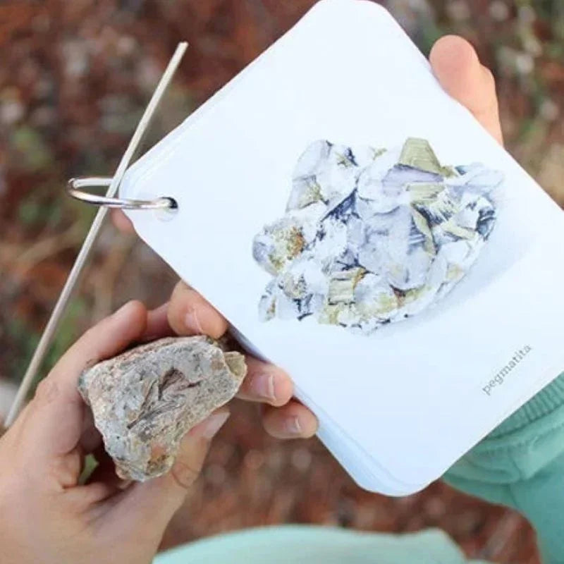 Fíjate: Rocas está compuesta por 22 cartas de alto gramaje (20 dedicadas a distintos tipos de rocas), con ilustraciones preciosas y datos fascinantes sobre su origen y características. Aprenderán a reconocer formaciones comunes como granito, esquisto o arenisca mientras desarrollan su capacidad de observación y amor por la naturaleza.