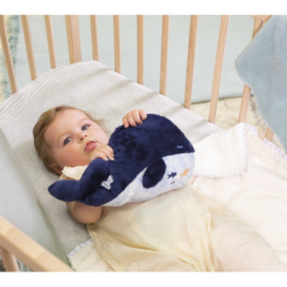 Peluche Ballena Petit Calme – Kaloo

Desde recién nacido 👶

Peluche de apego + cojín térmico natural

Incluye bolsa extraíble con bolitas de arcilla y flores de lavanda 🌿

Efecto calmante: se puede calentar en microondas o enfriar en el congelador

Ideal para aliviar cólicos, malestares o facilitar el sueño

Textura ultrasuave con estampado de olas 🌊

Lavable a máquina (retirando la bolsita térmica)

Medidas: 29 x 17 cm