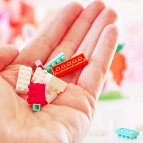 Mini Bricks Momiji- Pascale (844 piezas) - manodesantaoficial