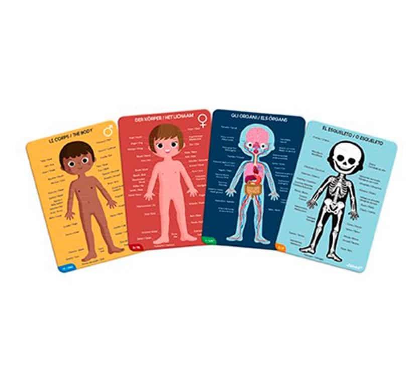 Puzzle educativo el Cuerpo Humano Janod - manodesantaoficial